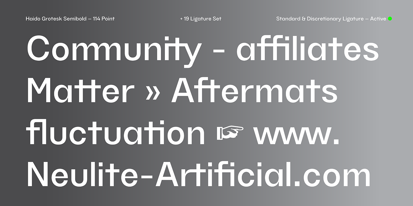 Ejemplo de fuente TG Haido Grotesk Light Italic